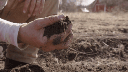 healthy soil passing through a hand